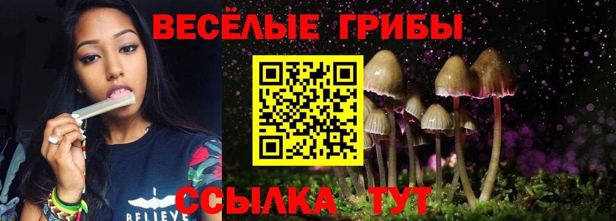 Кушва  Псилоцибиновые грибы Psilocybe  Вход с VPN 